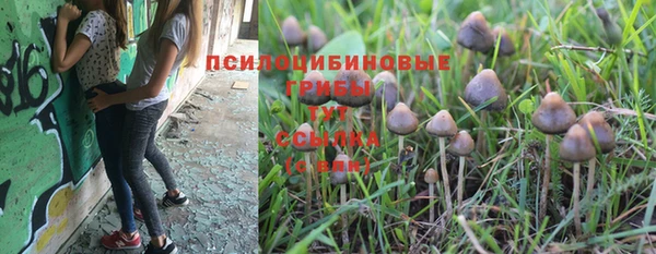 мескалин Баксан