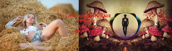 мескалин Баксан